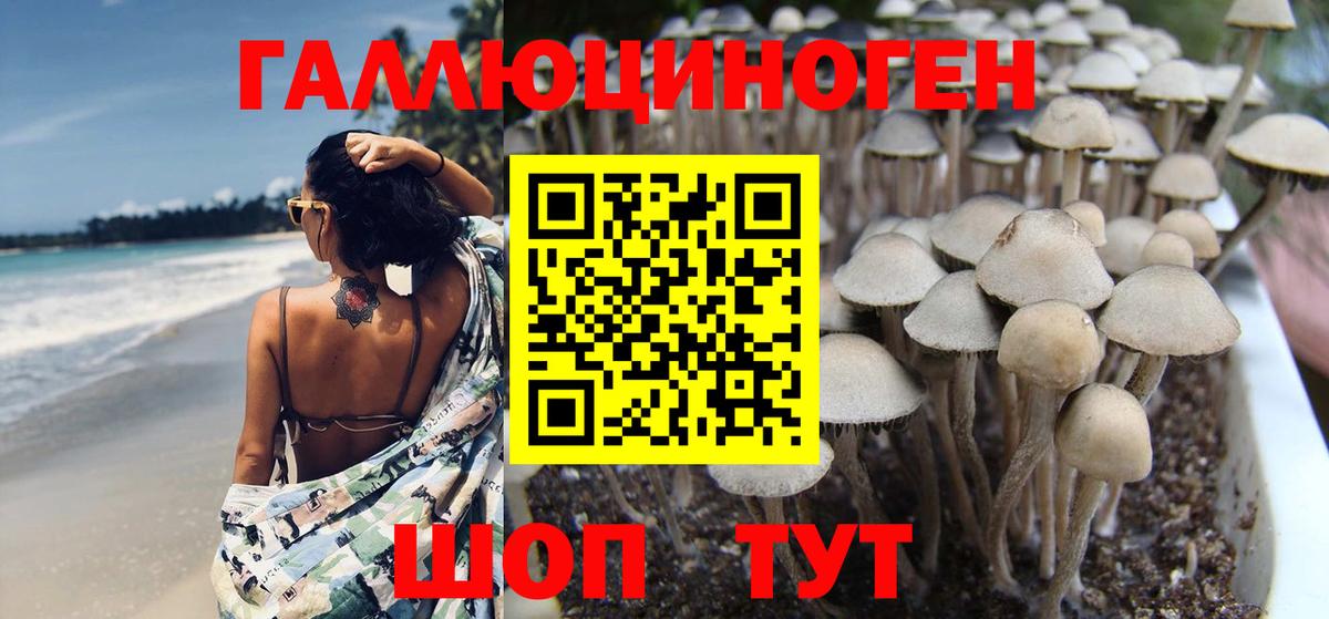 Галлюциногенные грибы мухоморы Котлас