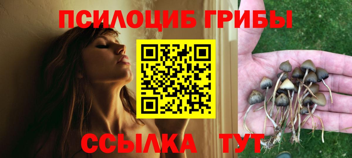 Псилоцибиновые грибы мицелий  Вход с VPN  цена   Котлас 